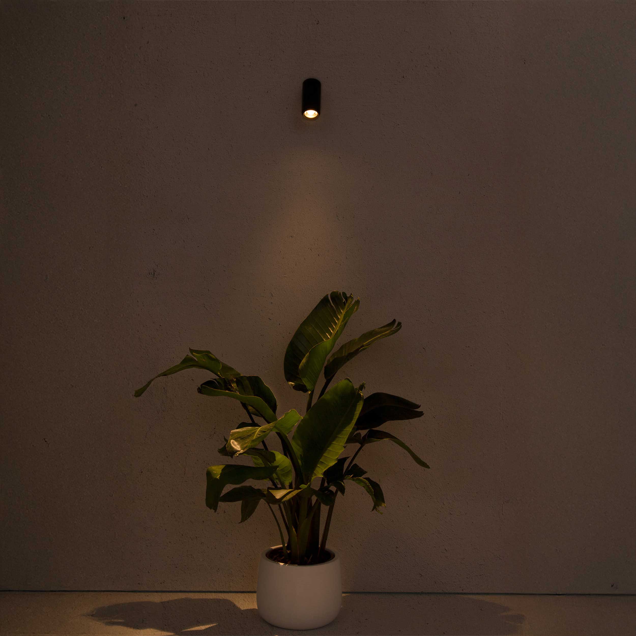 Faro Plom LED fali kültéri állítható lámpatest IP64