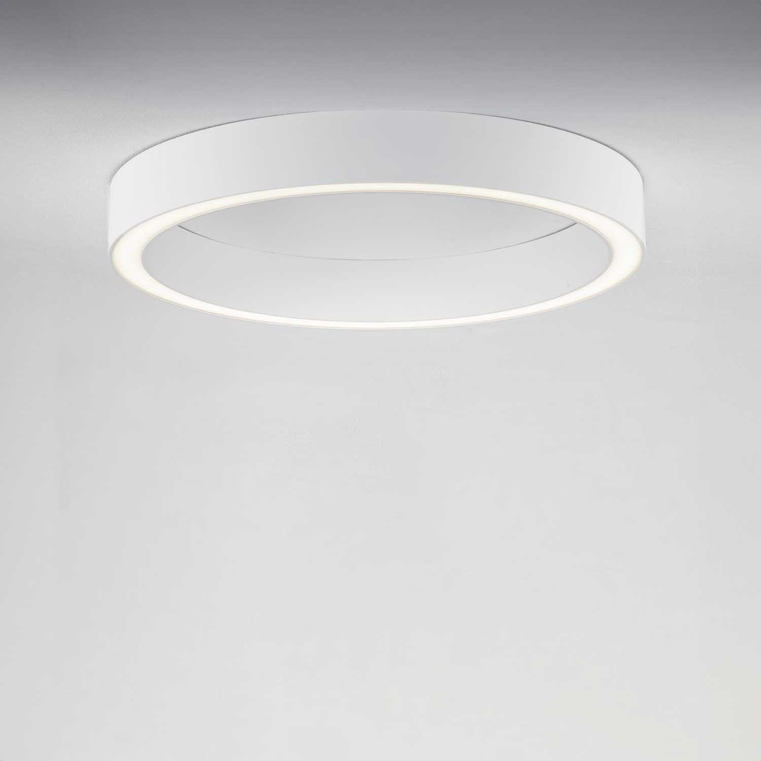 Nova Luce Sting LED kruhové stropní svítidlo stmívatelné