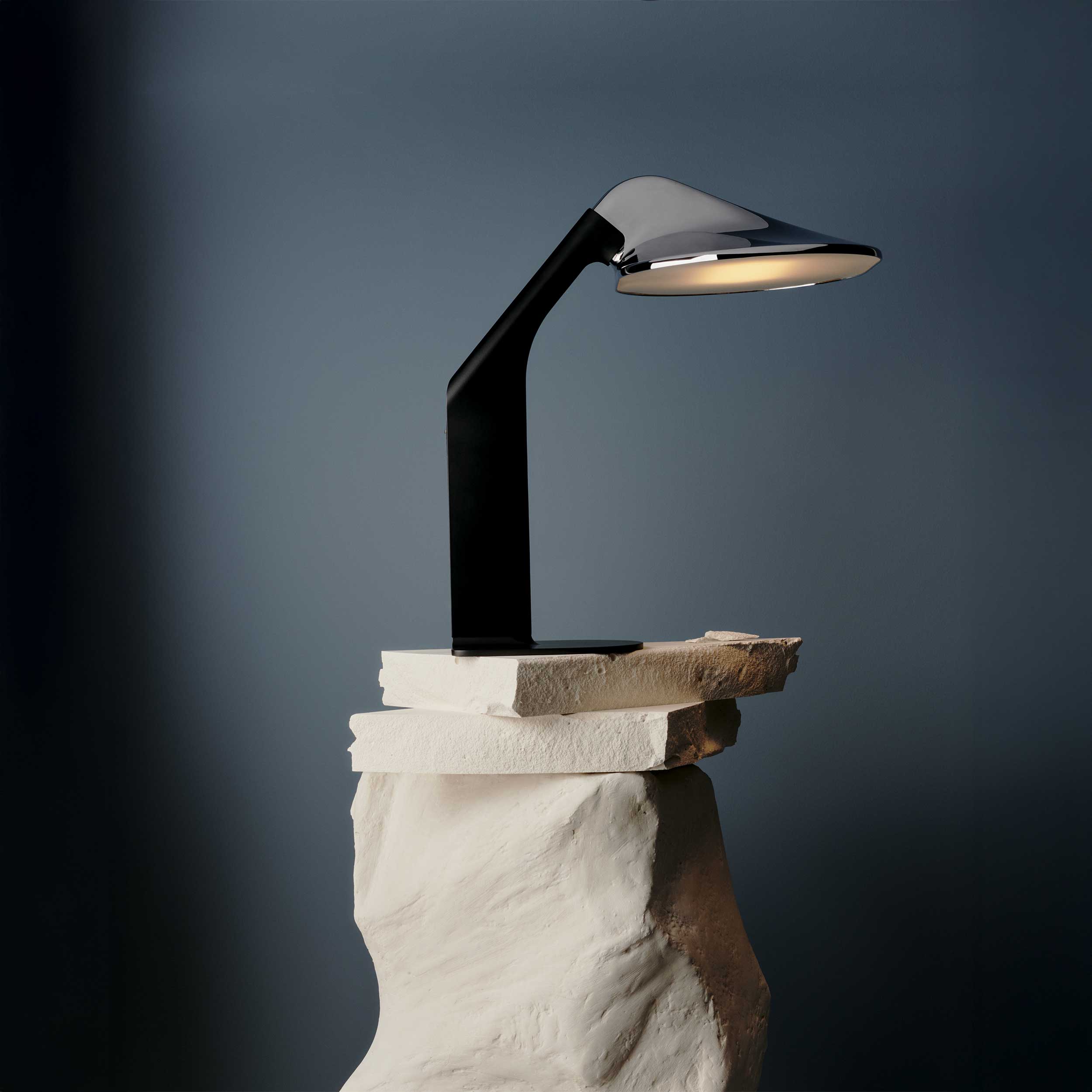 DCW édition NL 12 LED pendant light