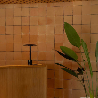 Faro Le Vita LED floor light dimmable