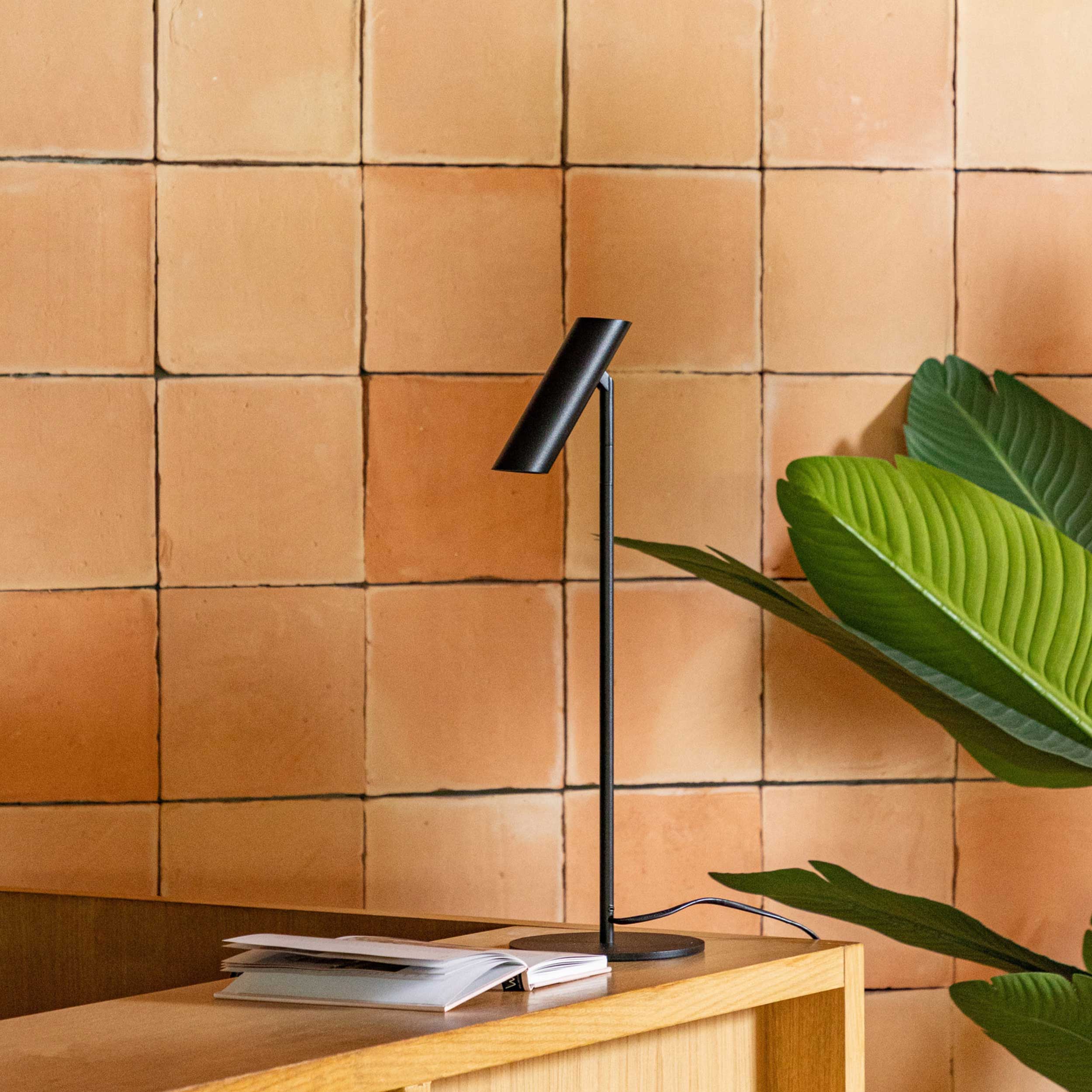 Faro Le Vita LED floor light dimmable